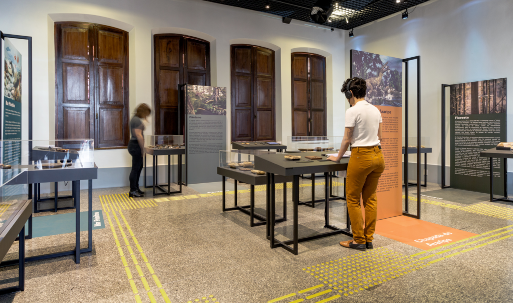 Exposição Fósseis MM Gerdau Dobra Arquitetura