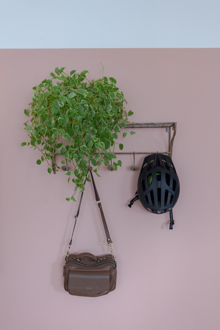 Ap.Lourdes_17-12-19_foto_Dentro_Fotografia_alta-(10).png